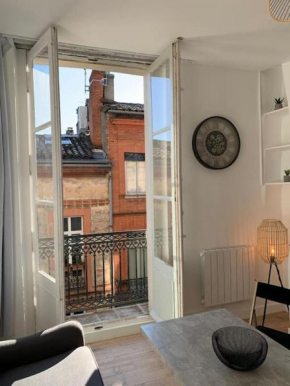 Lumineux appartement Capitole plein centre
